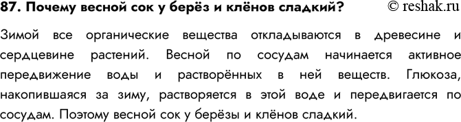 Изображение 87. Почему весной сок у берёз и клёнов сладкий?Зимой все органические вещества откладываются в древесине и сердцевине растений. Весной по сосудам начинается активное...
