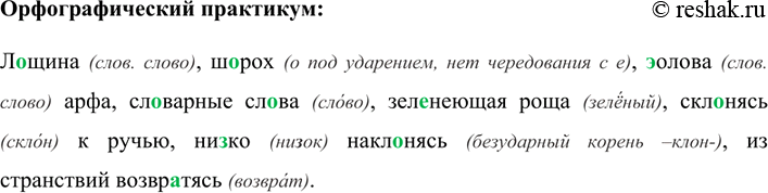 Изображение Орфографический практикум 24 ГДЗ Рыбченкова Александрова 7 класс